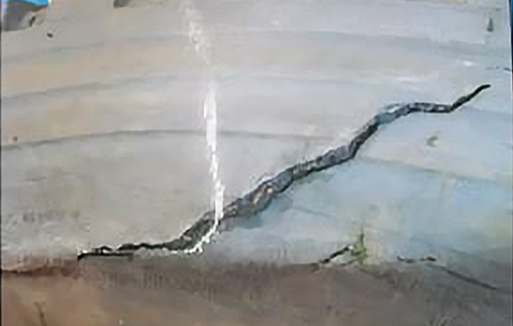 1660278831101084.png 5.png